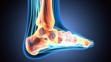 View of Pressure Points on a Foot