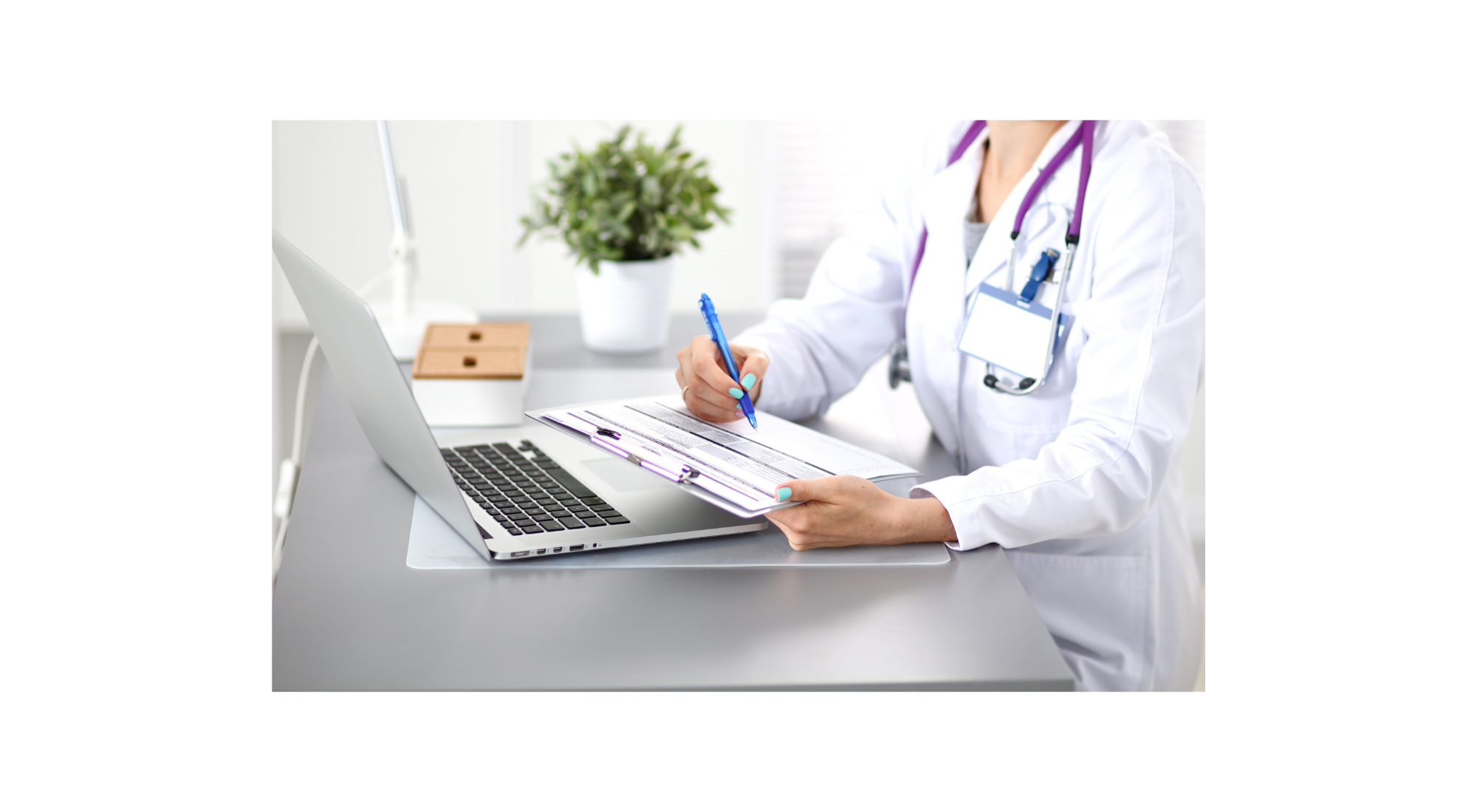 Clinician at a computer with a plant in the background