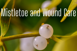 Mistletoe and Wound Care