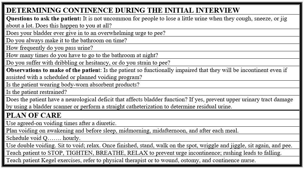 Continence Assessment Chart