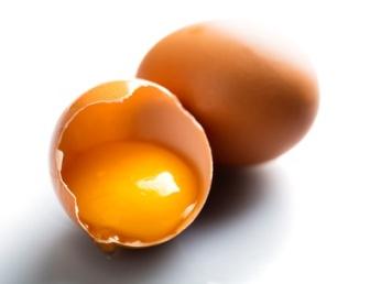 chicken egg use in wound healing