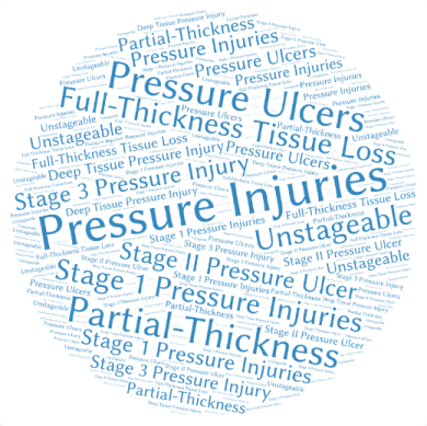 pressure ulcer terminology