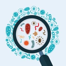 Signs And Symptoms Of Wound Infection Woundsource Signs And Symptoms Of Wound Infection Woundsource