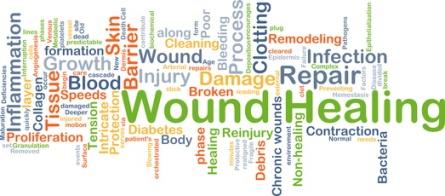 wound healing and wound bed preparation