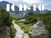 icd-10 implementation